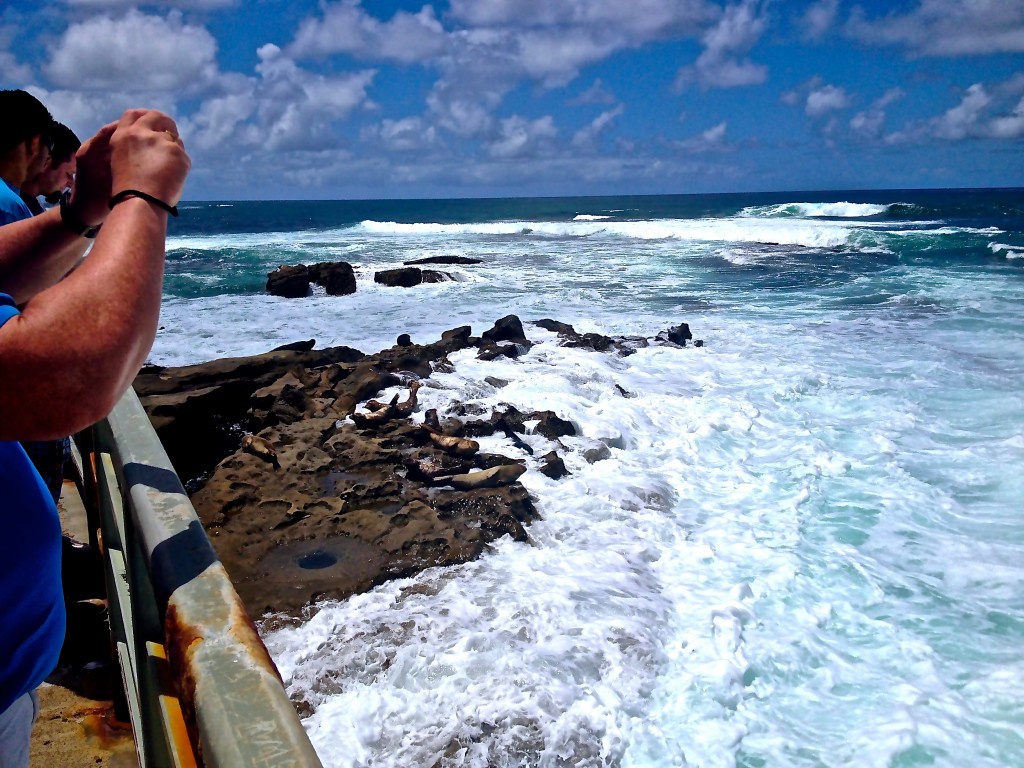 Wall into the ocean