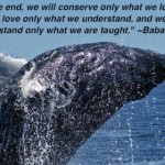 Quote of the Week: We will conserve only what we love