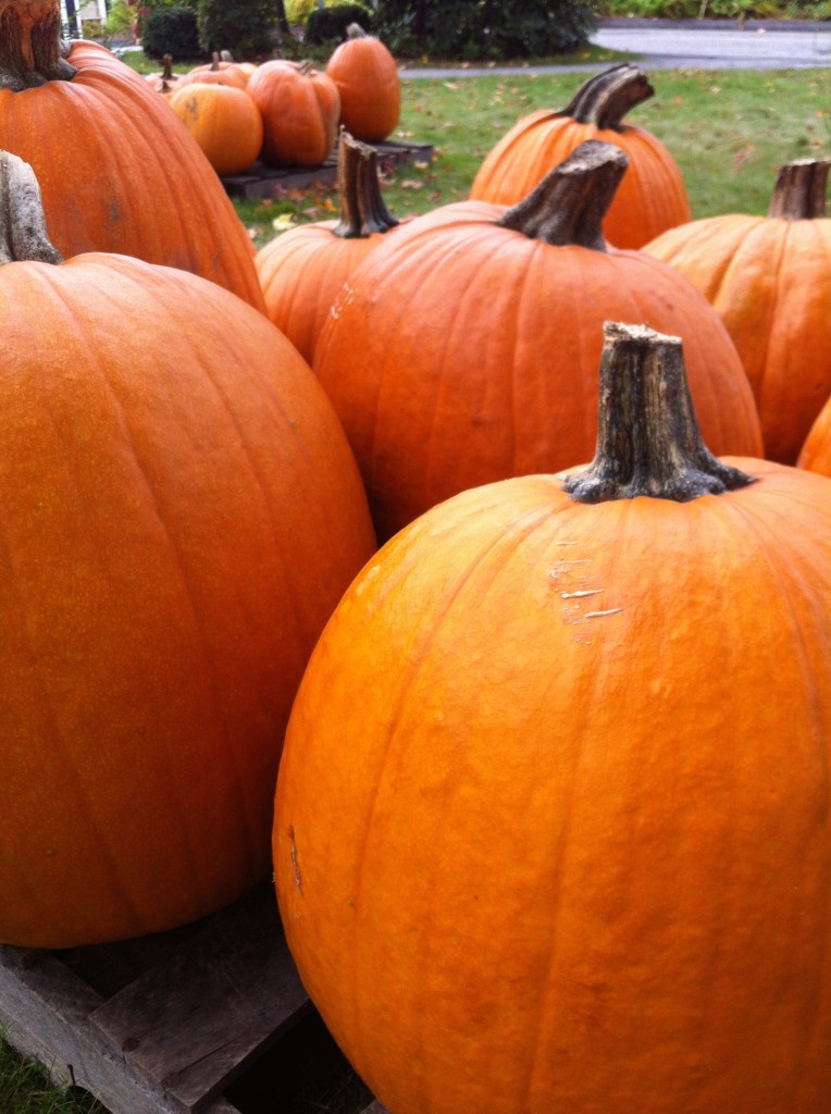 punkins