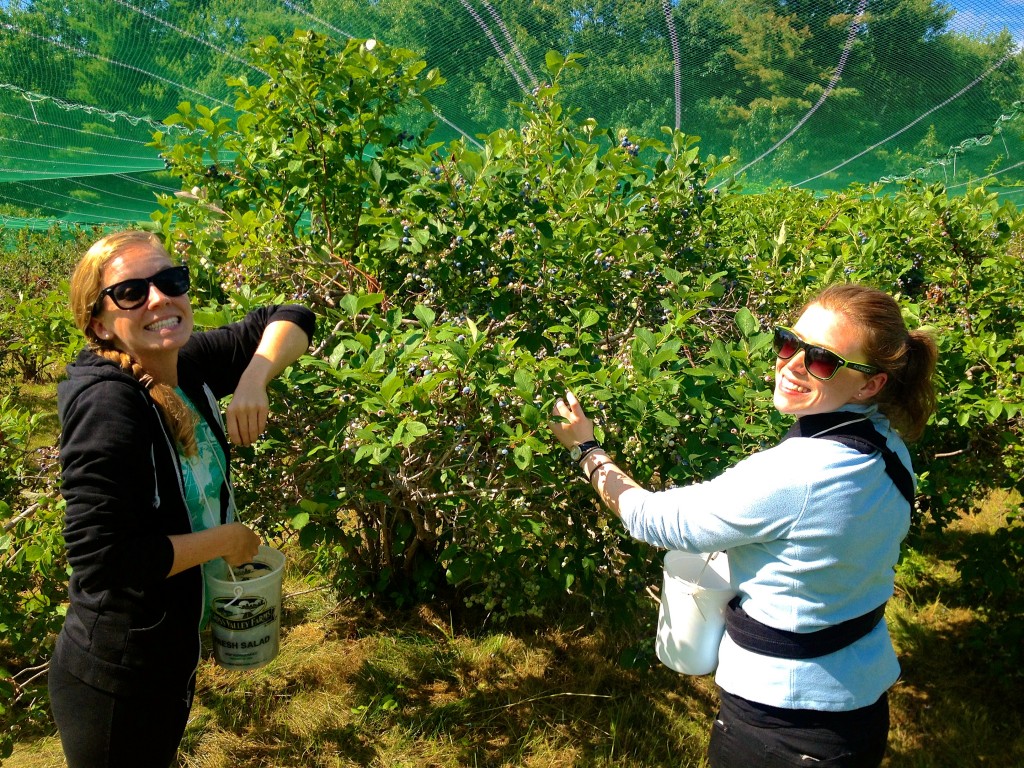 booberry pickin