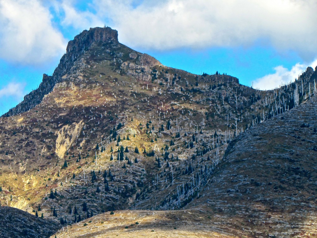 st helens 6