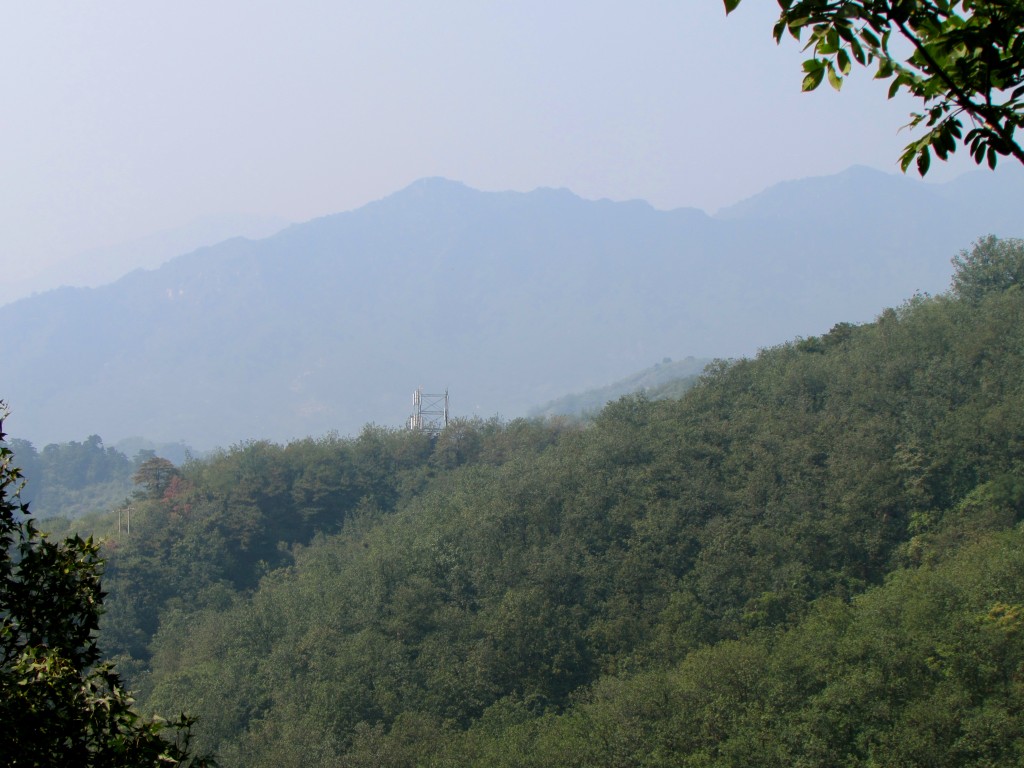 IMG_0385