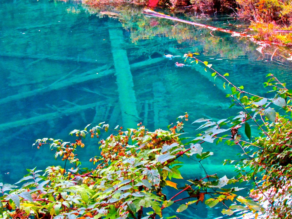 clear bottom of lake