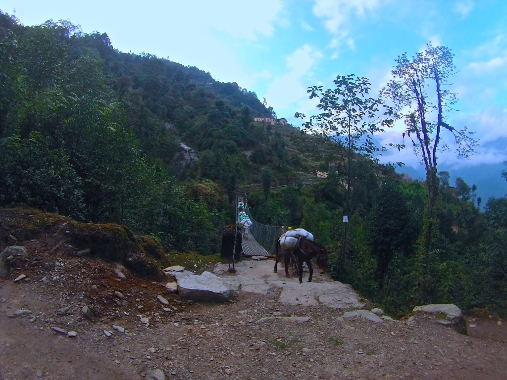 DCIM161GOPRO