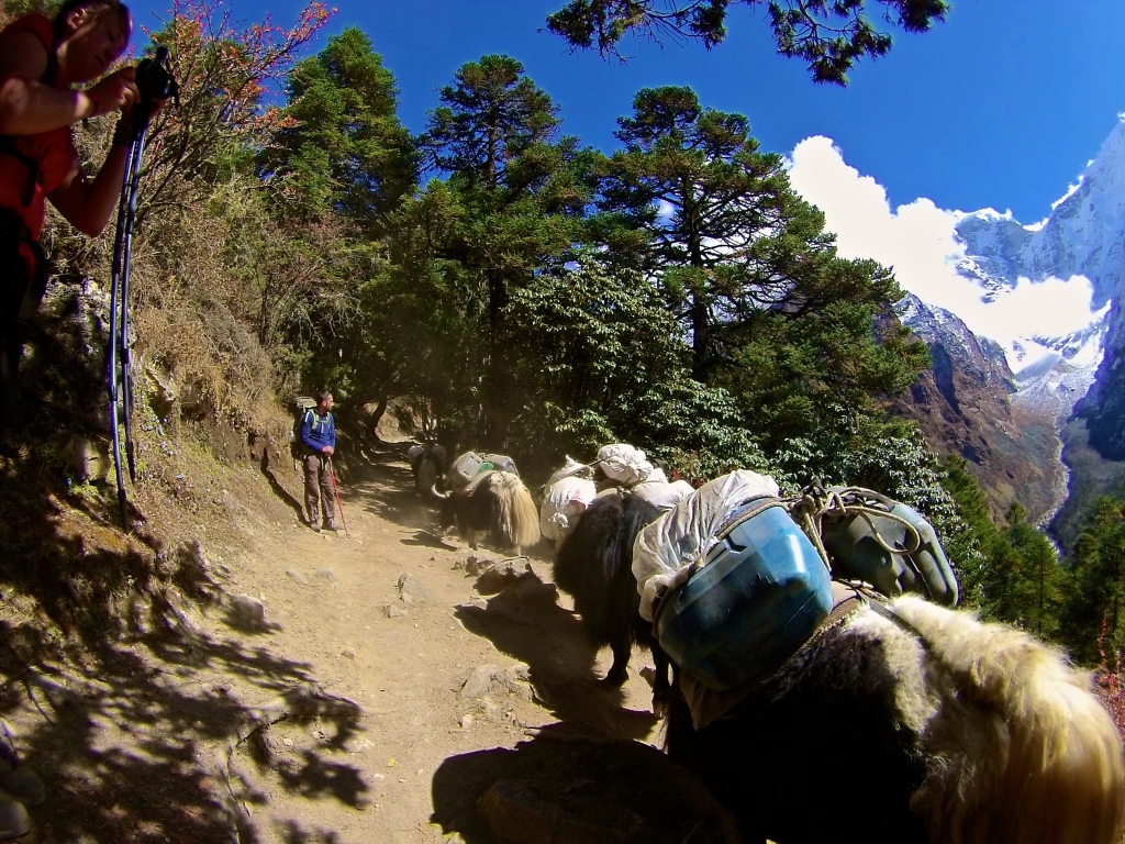 DCIM161GOPRO