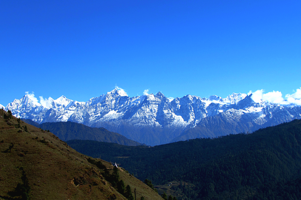 IMG_1743_fotor