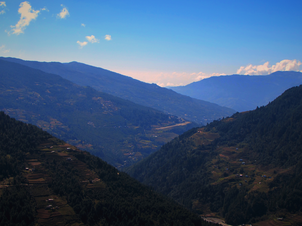 IMG_1768_fotor