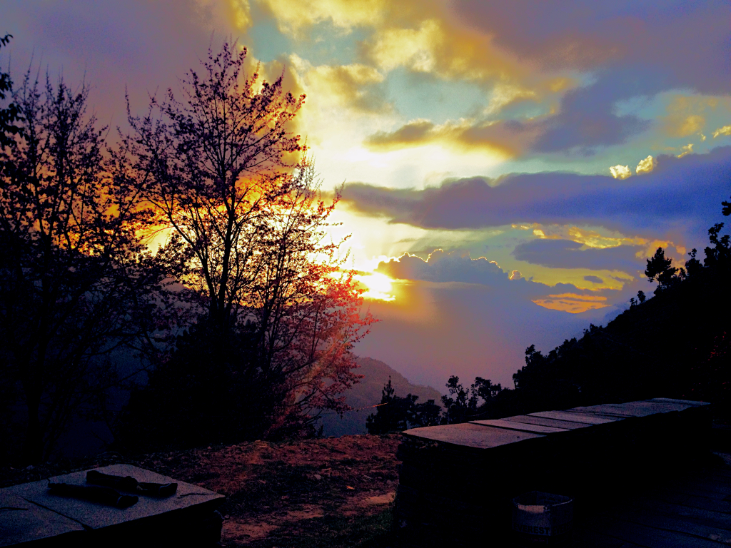 IMG_5335_fotor
