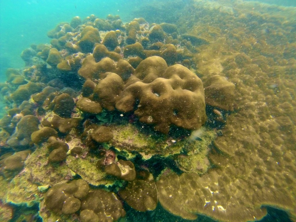 DCIM161GOPRO