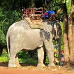Exploring Koh Lanta by bike: elephants, rubber trees, and solitude