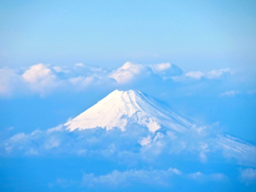 IMG_3331