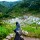 The Batad Rice Terraces of the Philippines – An agricultural masterpiece