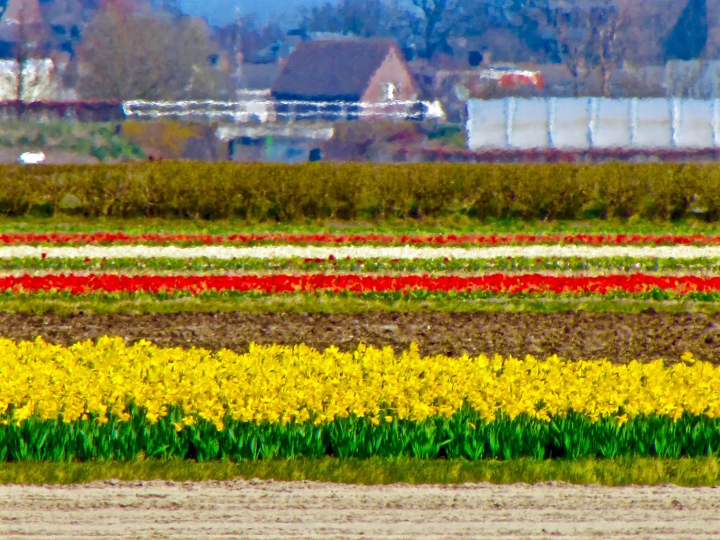 IMG_5872