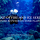 Land of Fire and Ice Series: Silfra SCUBA Diving