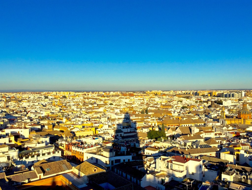 view from giralda tower
