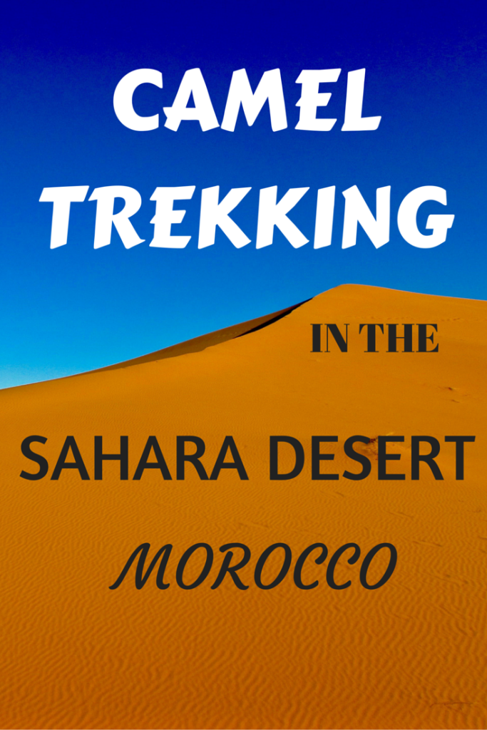 CAMEL TREKKING IN THESAHARA DESERT