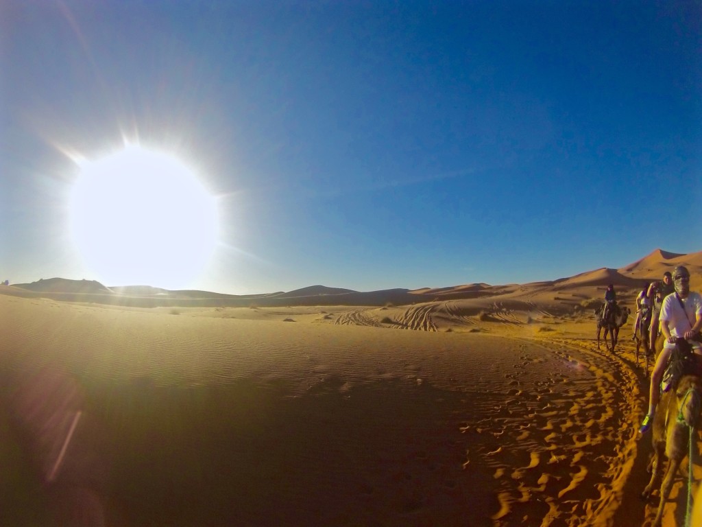 camel trekking in Morocco