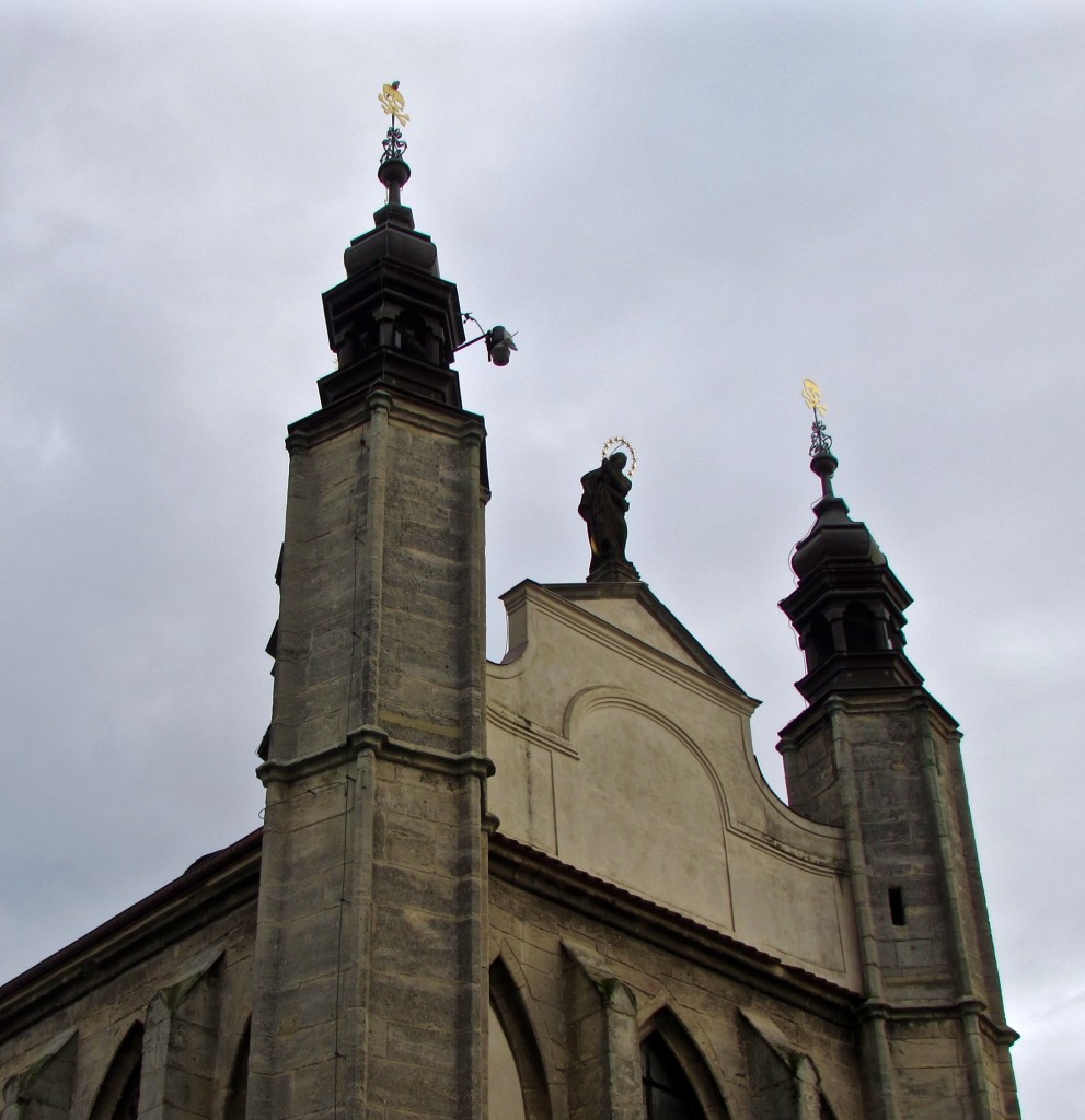 IMG_9646